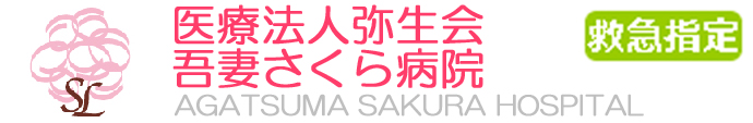 吾妻さくら病院｜吾妻・中之条の訪問診療ならお任せください！